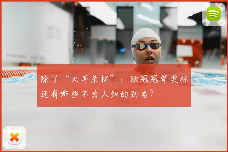 除了“大耳朵杯”，欧冠冠军奖杯还有哪些不为人知的别名？