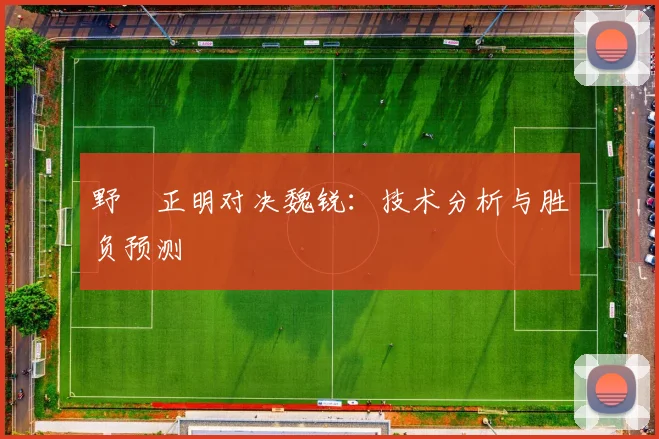 野杁正明对决魏锐：技术分析与胜负预测