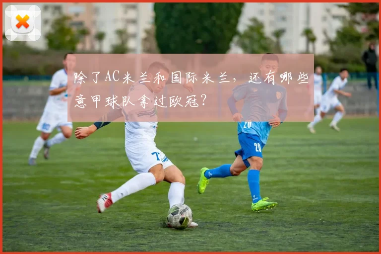 除了AC米兰和国际米兰，还有哪些意甲球队拿过欧冠？