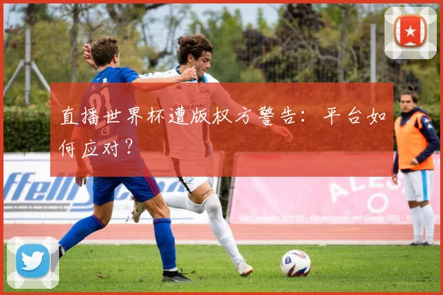 直播世界杯遭版权方警告：平台如何应对？