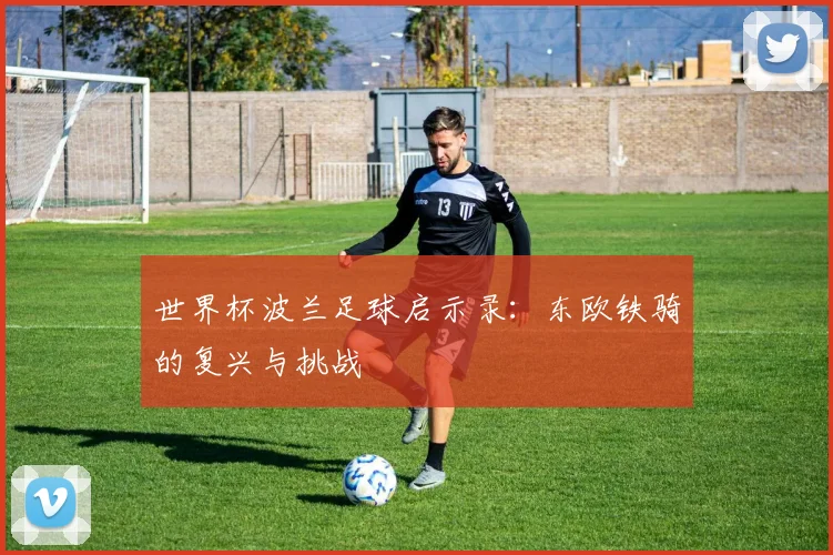 世界杯波兰足球启示录：东欧铁骑的复兴与挑战