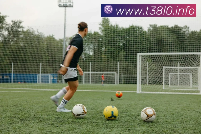 多媒体互动体验